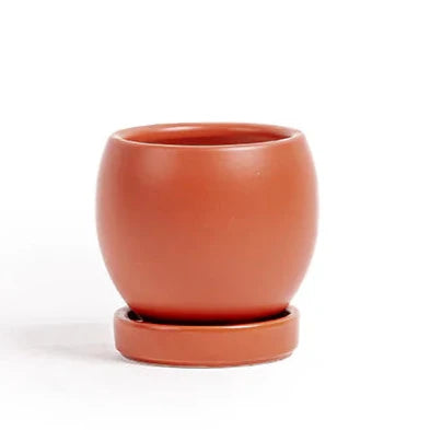 4.25" Round Bollé Pot