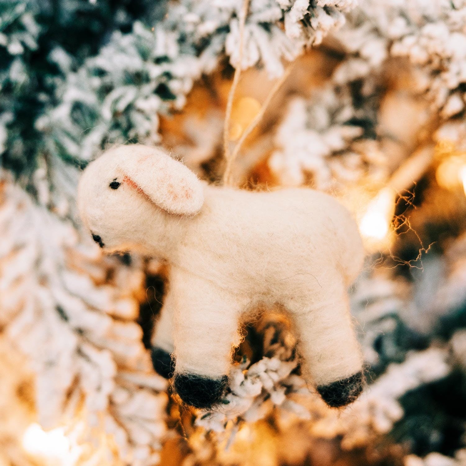 Wooly Lamb Ornament