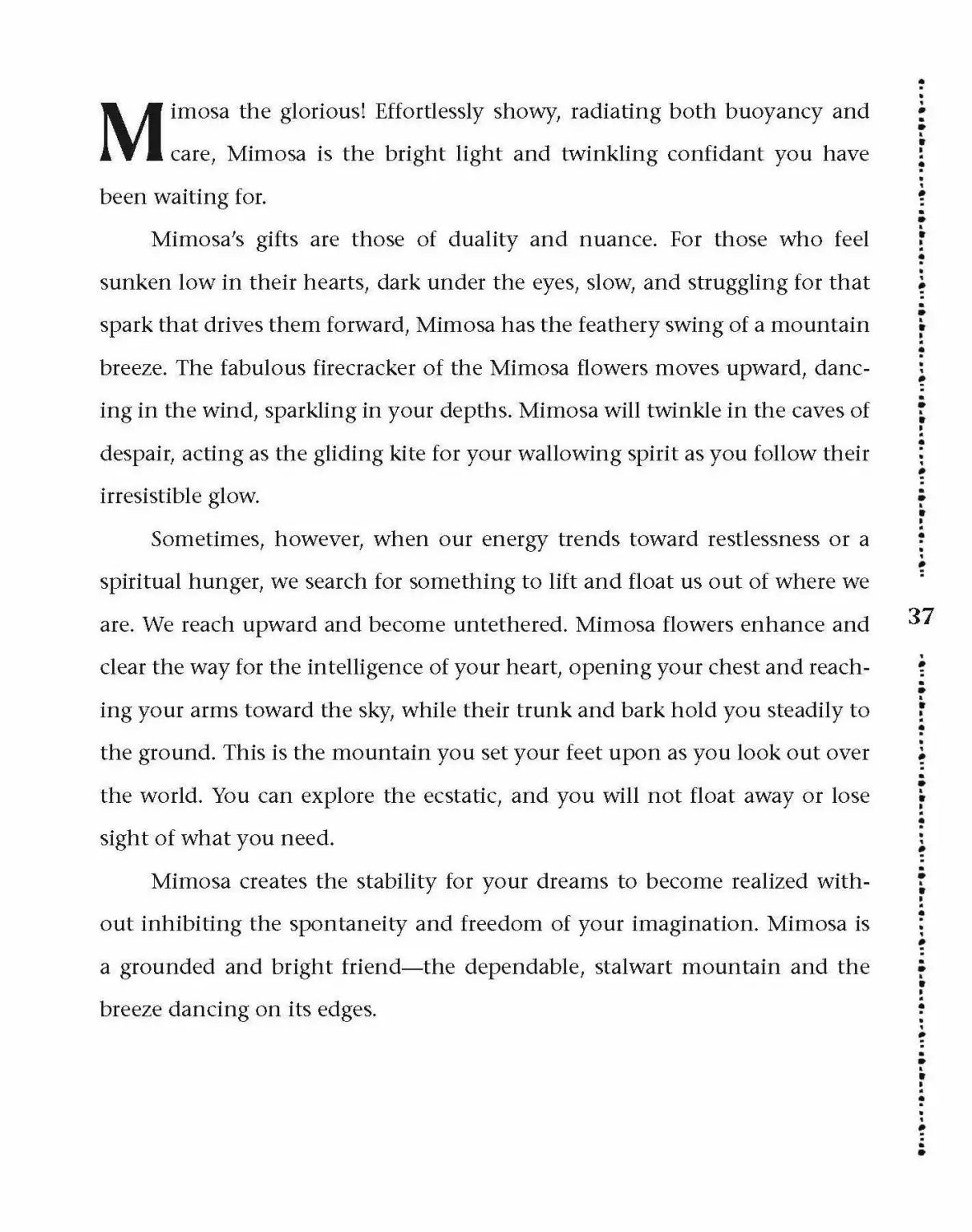 Dirt Gems - Plant Ally Deck + Book