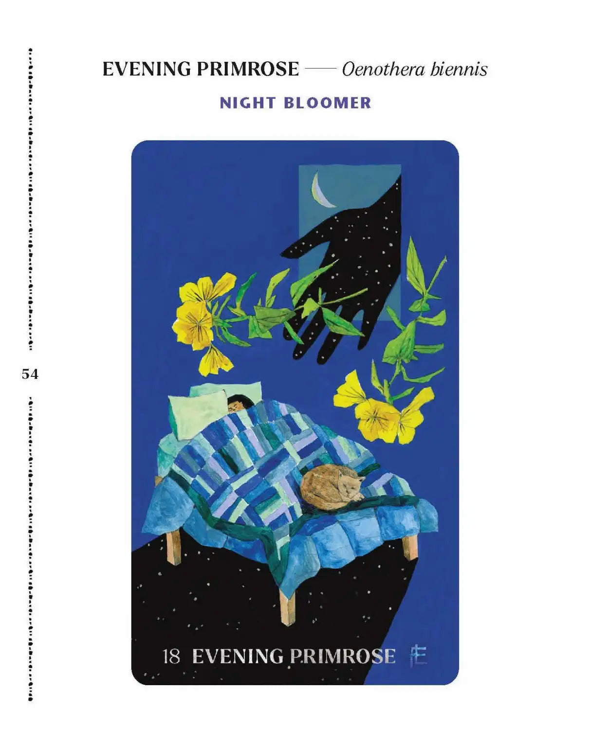 Dirt Gems - Plant Ally Deck + Book