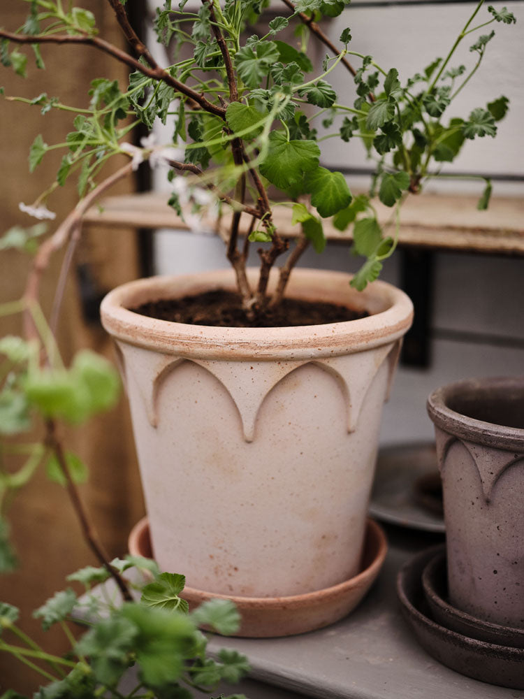 Elizabeth 4.7" Gothic Arch Pot - Rosa