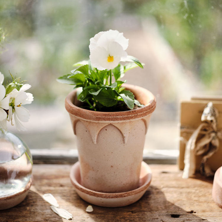 Elizabeth 4.7" Gothic Arch Pot - Rosa