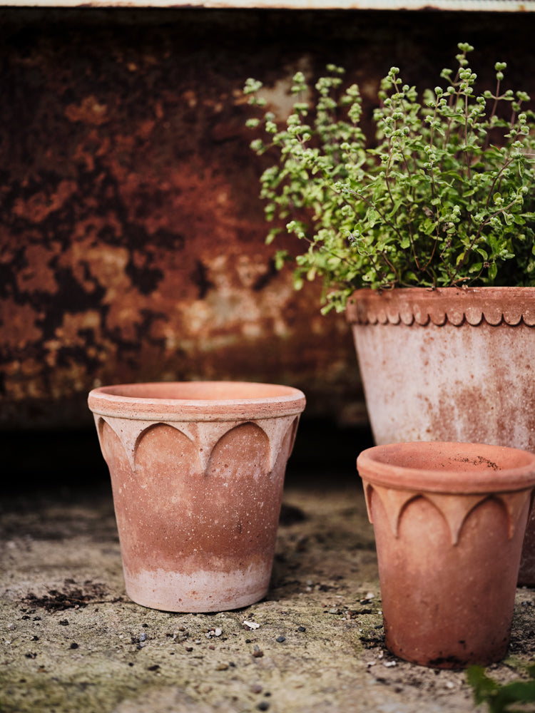 Elizabeth 4.7" Gothic Arch Pot - Rosa