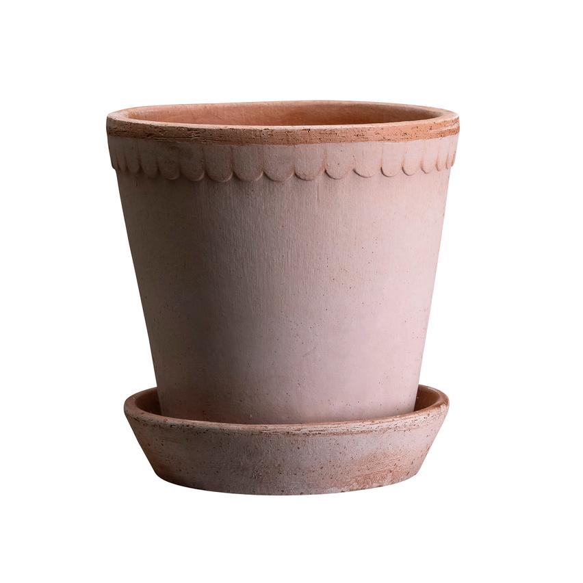 Helena 5.5" Scalloped Planter - Rose