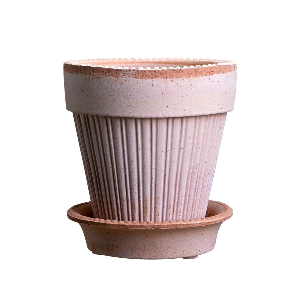 Simona 4.7" Dotted Rim Pot - Rosa
