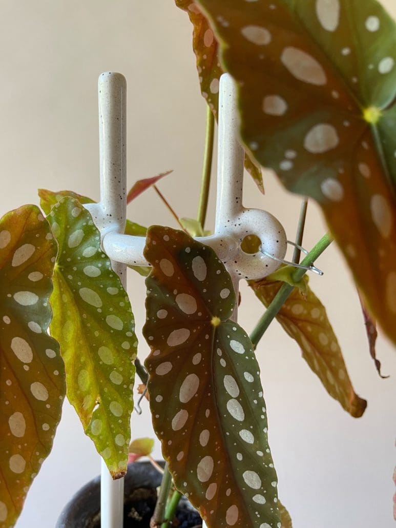 Folk Plant Stake - Hinto