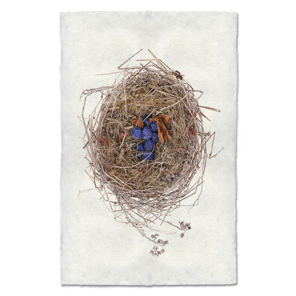 Blue Berry Nest Print