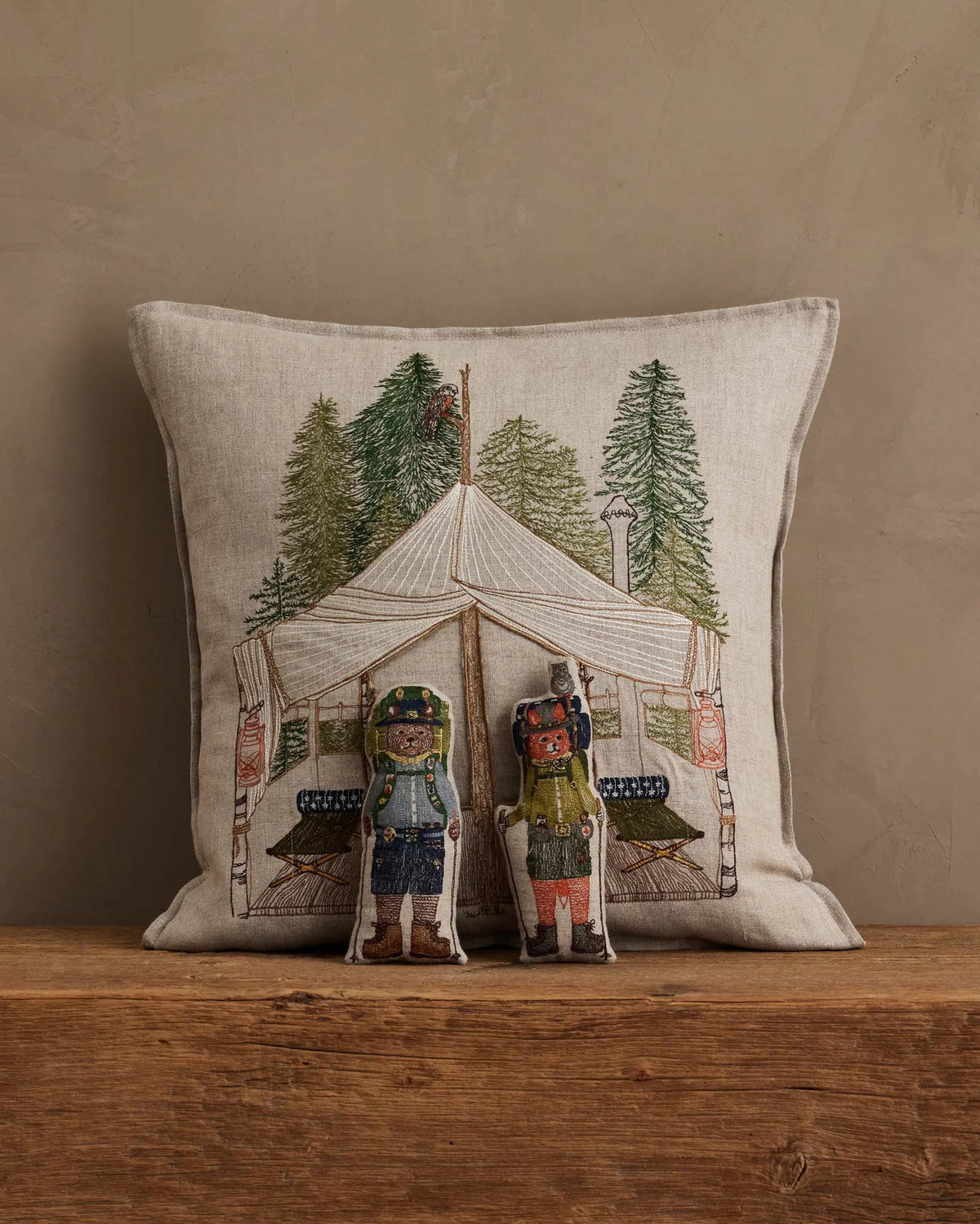 Explorers Pocket Pillow