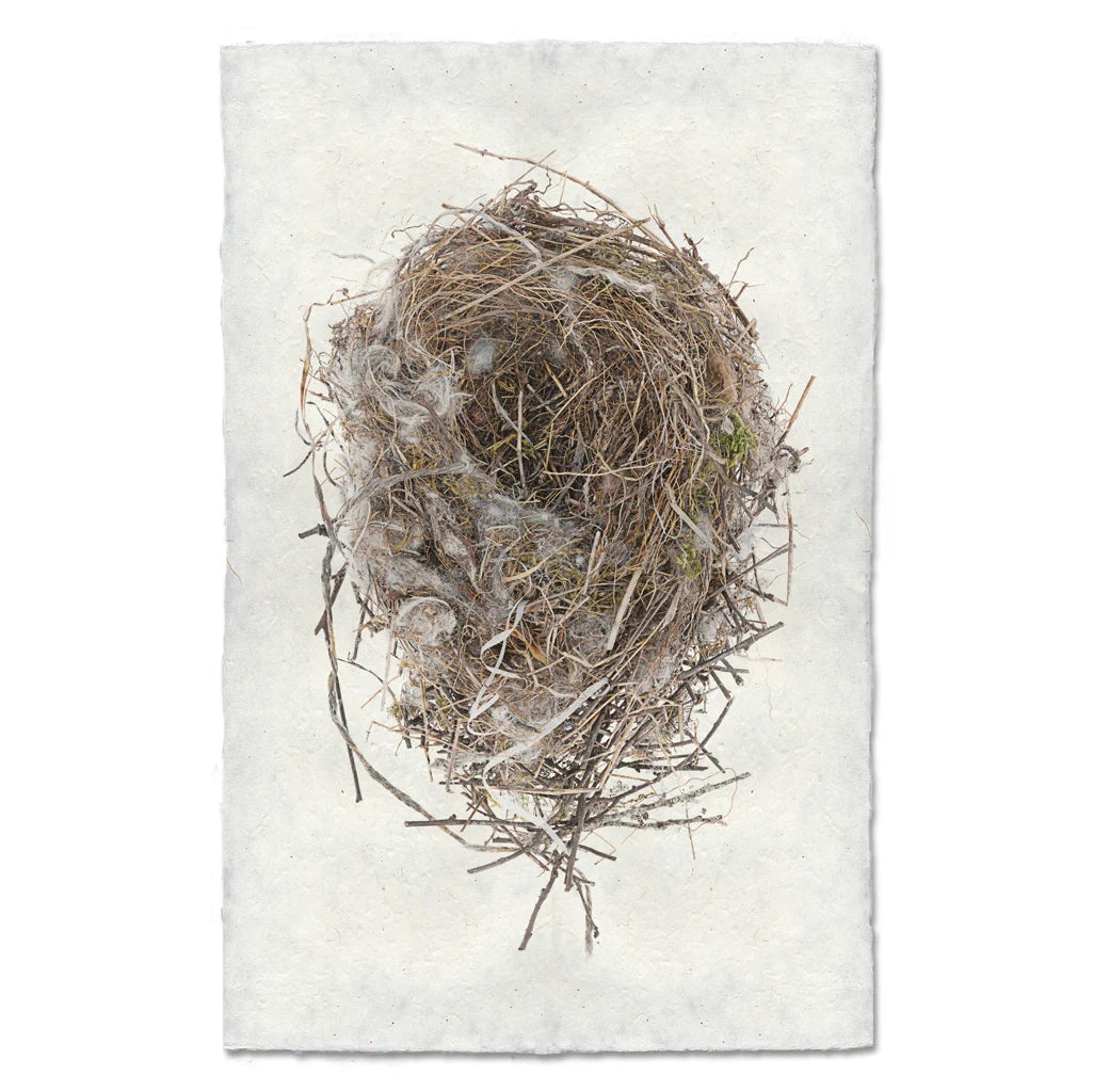 Cotton and Twine Nest Print