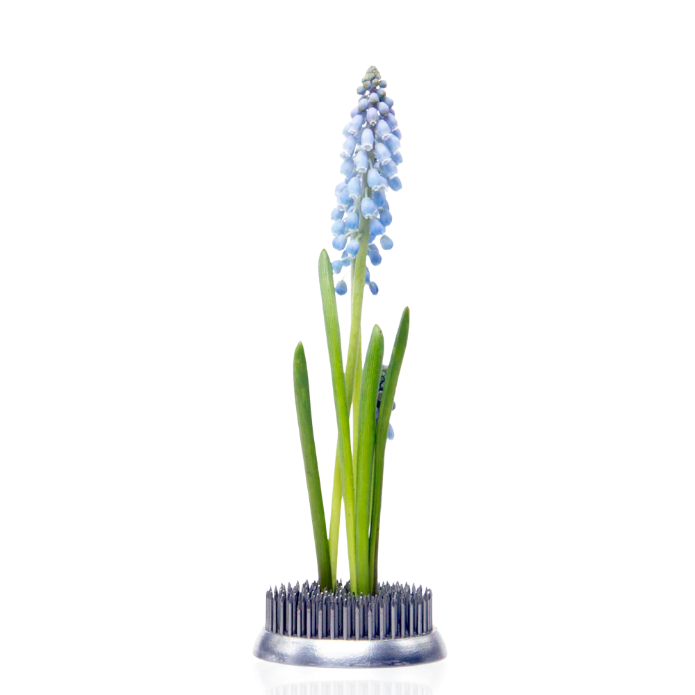 Kenzan Flower Frog - XL