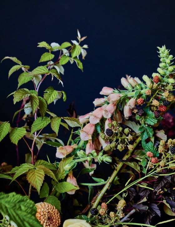Home in Bloom