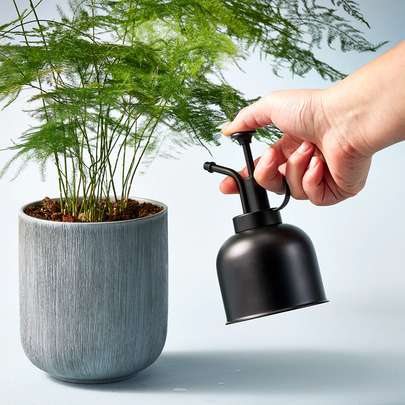 Black Brass Plant Mister