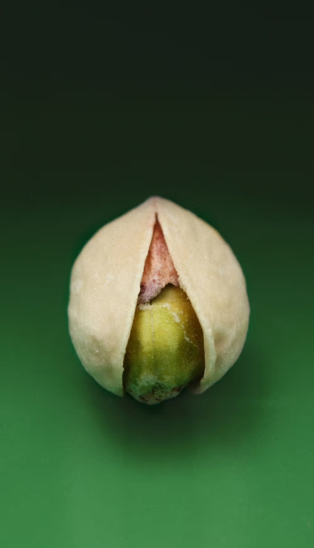 DS & Durga - Pistachio Pocket Perfume