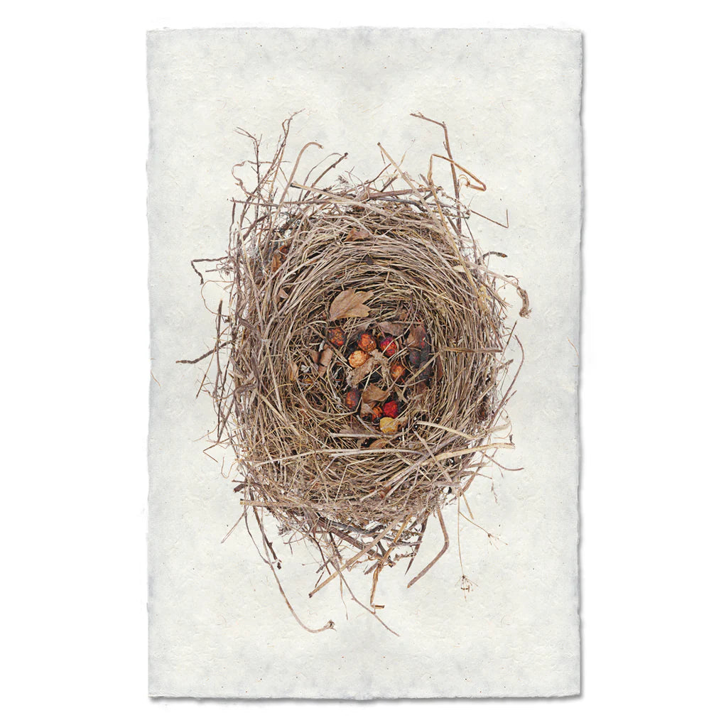 Red Berry Nest Print
