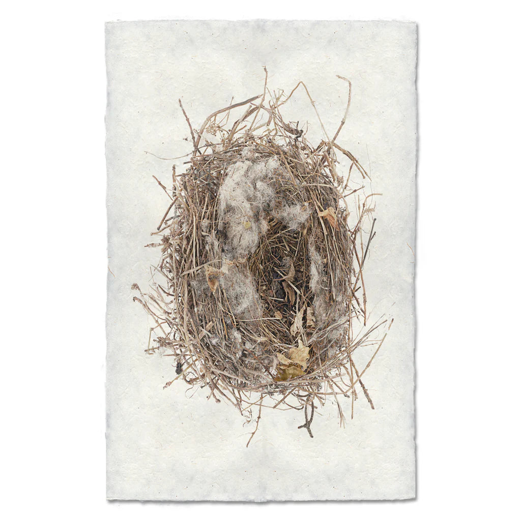 Scattered Leaves Print