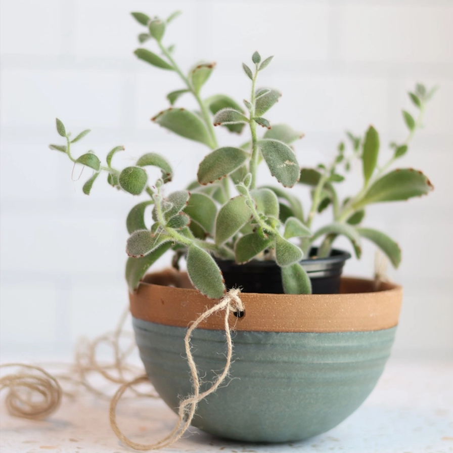 Large Grooved Hanging Planter - Lagoon