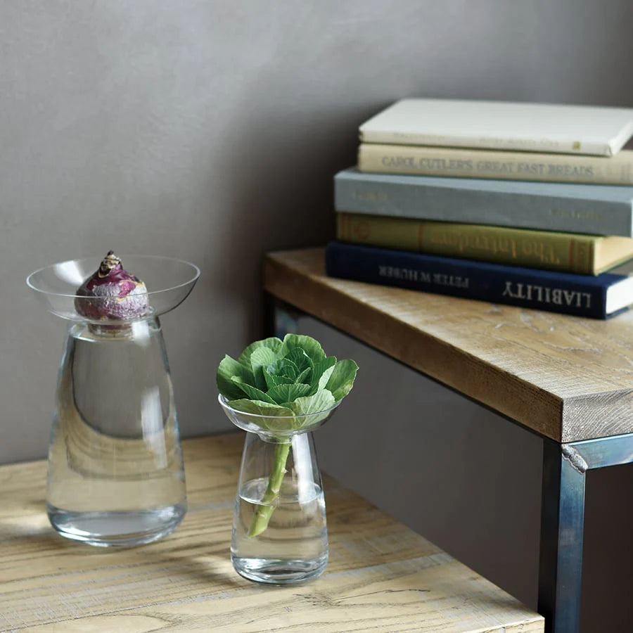 Large Glass Bulb Vase