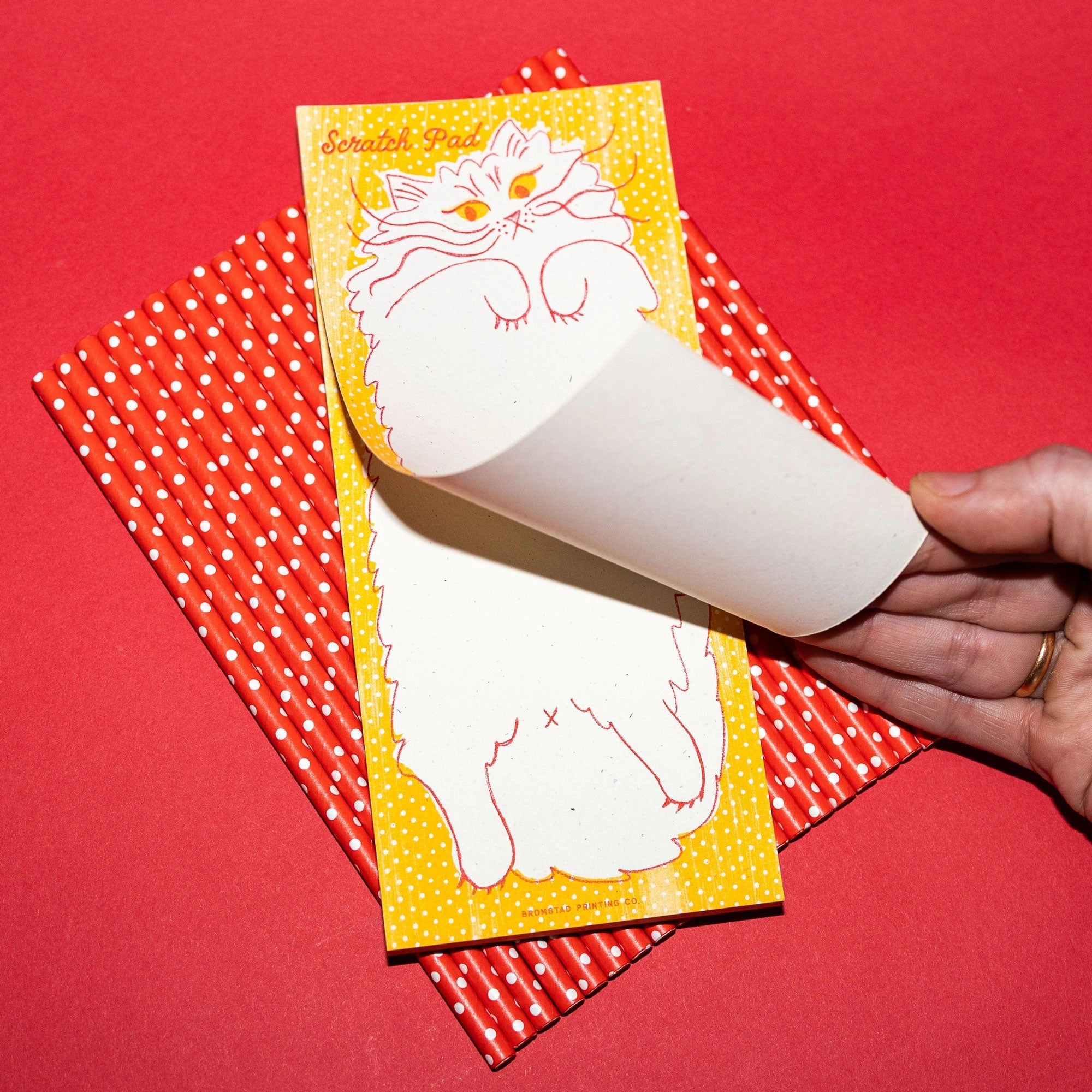 Kitty Scratch Notepad
