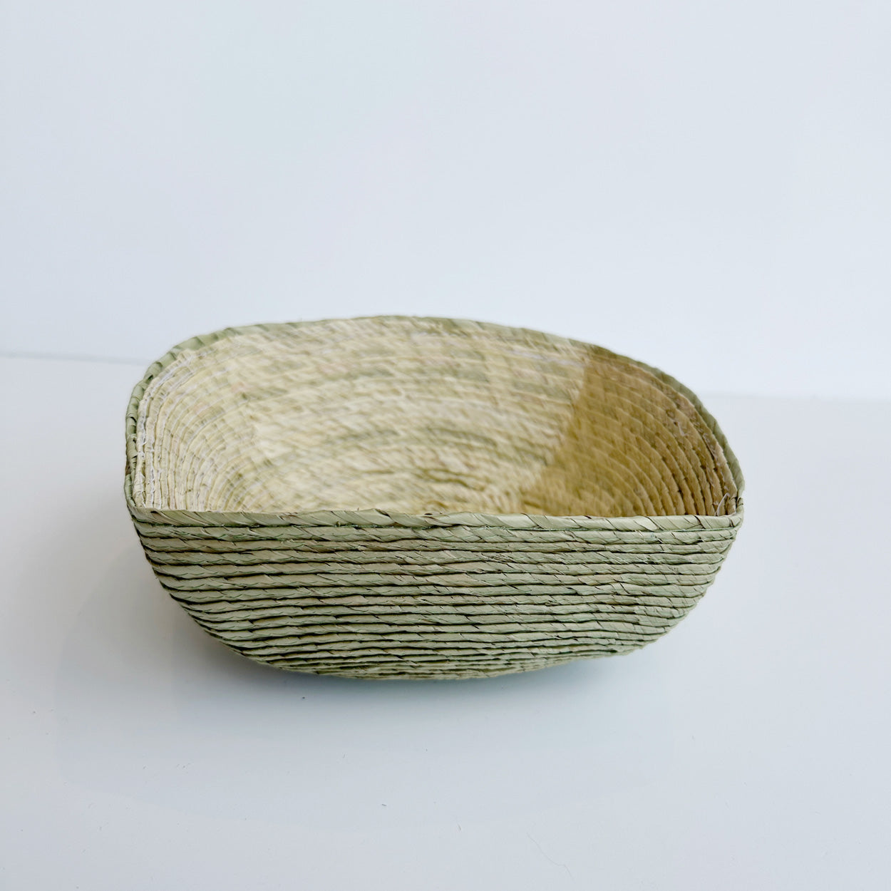 Small Palm Catchall Basket - Agave