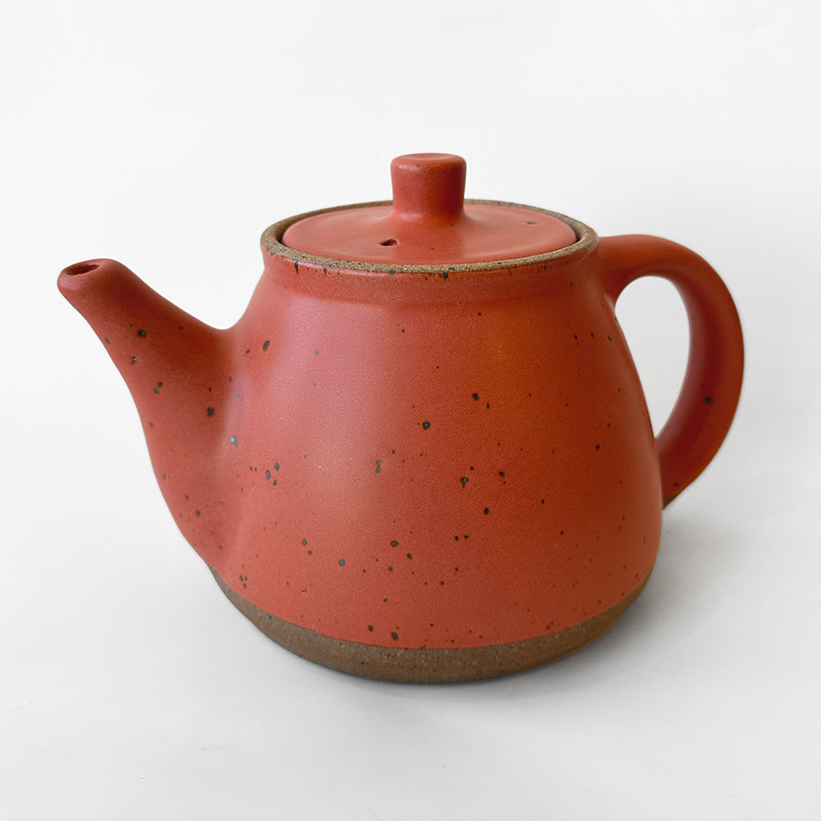 LAIL Teapot - Coral Canyon