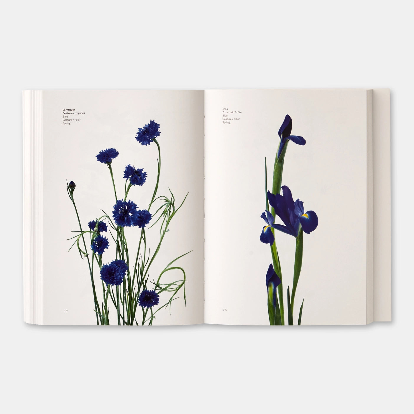 Flower Color Guide Book