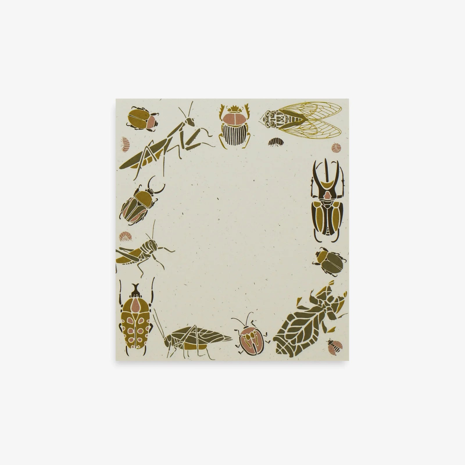 Small Wonders Mini Notes - KESTREL