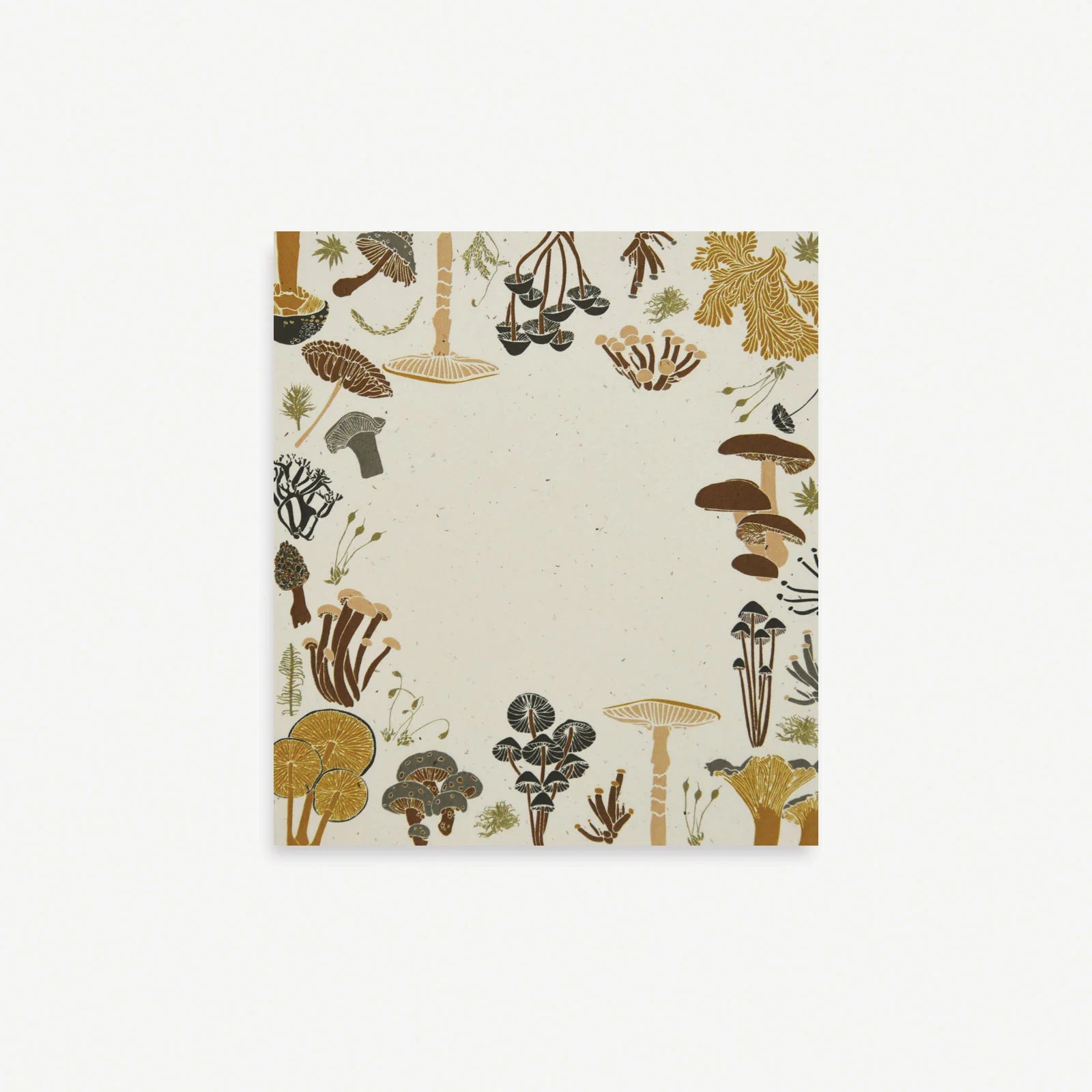 Mushrooms Mini Notes