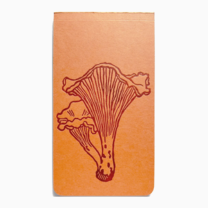 Flora + Fauna Mini Notepad
