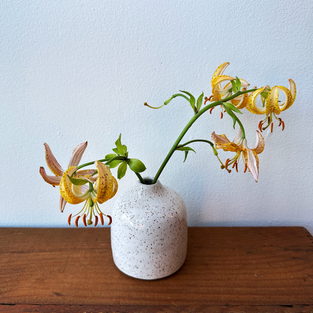 Speckled Bud Vase