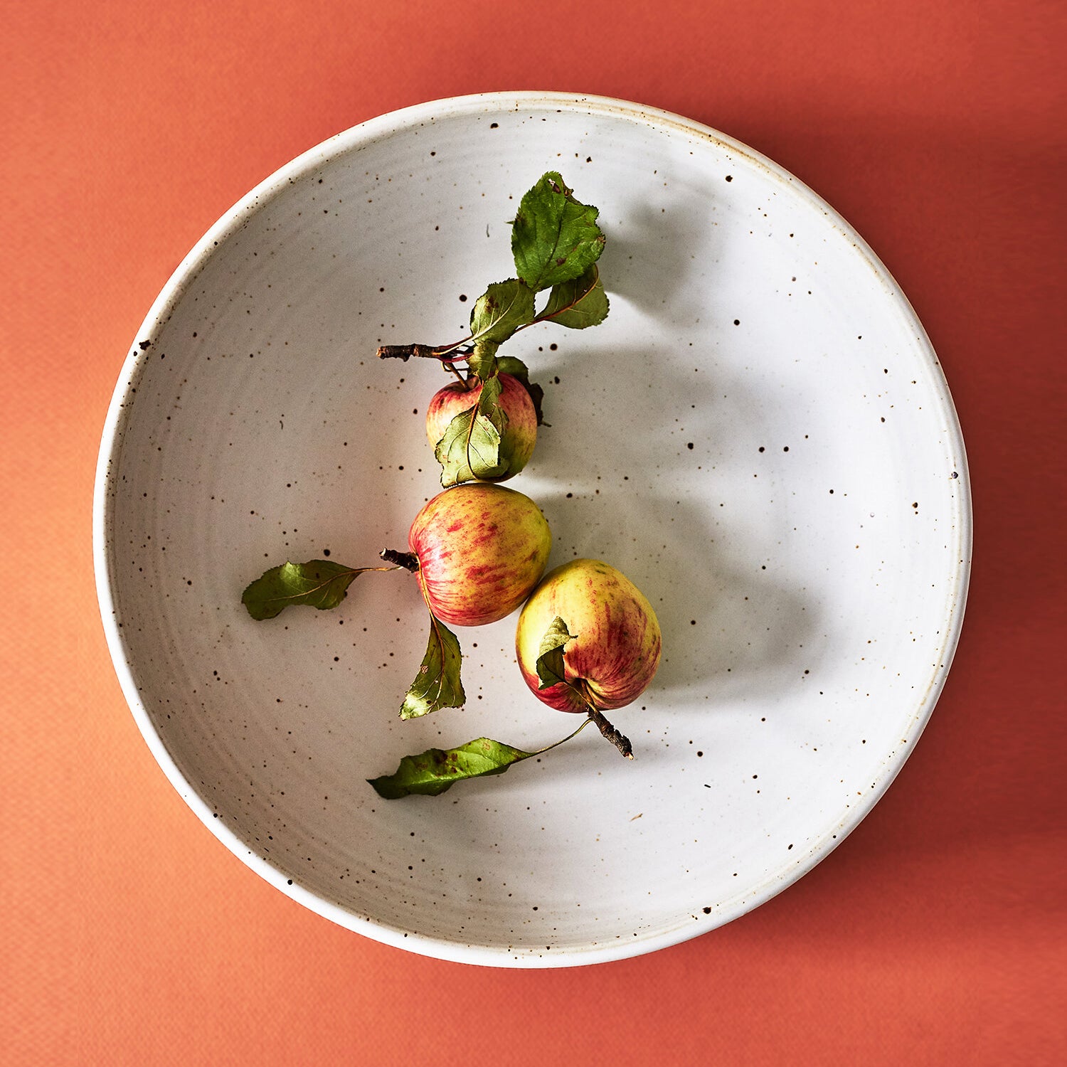 13" LAIL Serving Bowl - Bone White