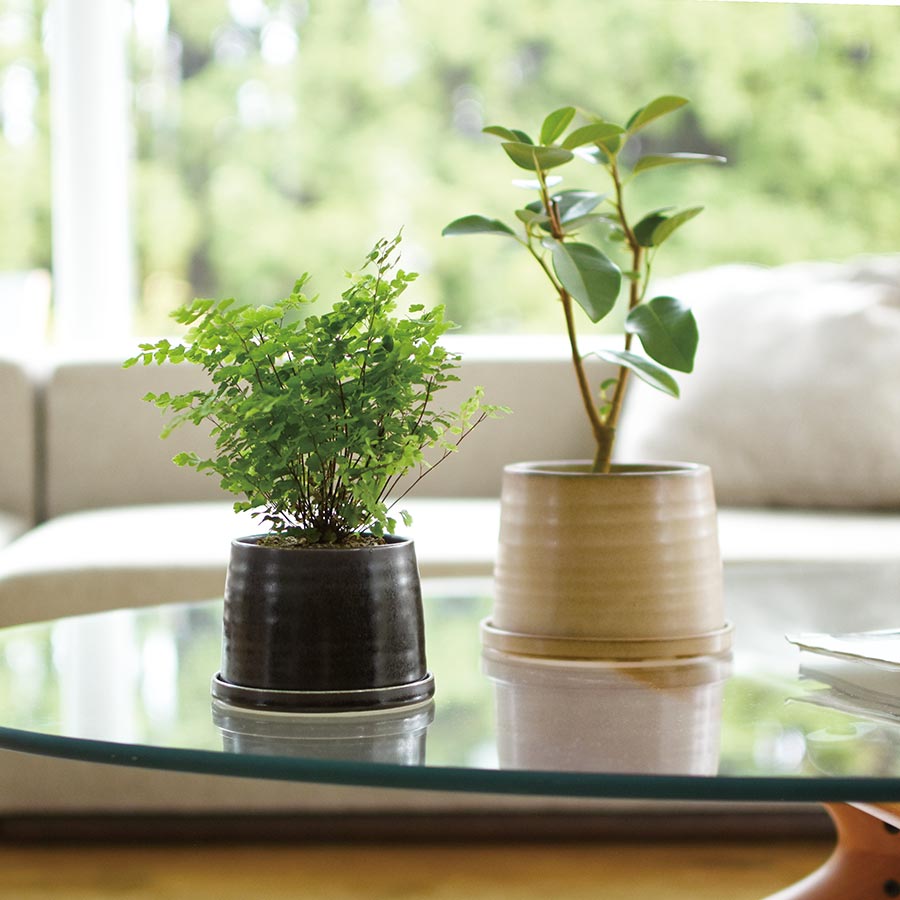 Black Beehive Planter