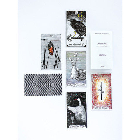 The Wild Unknown Tarot Deck - KESTREL