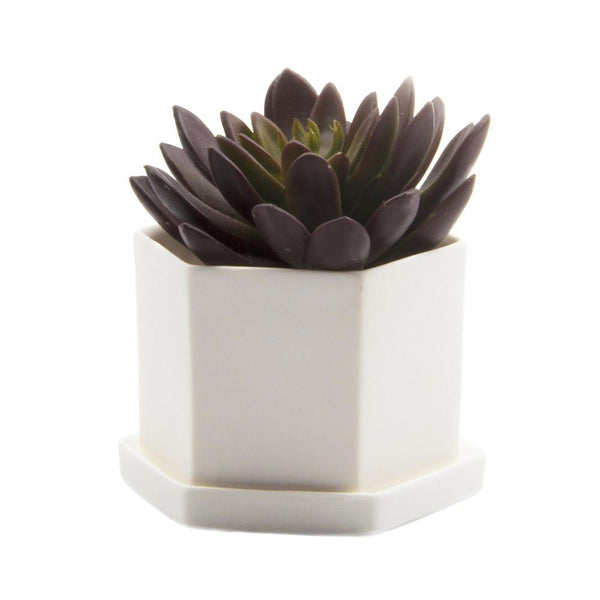 Hex Planter (White) - KESTREL