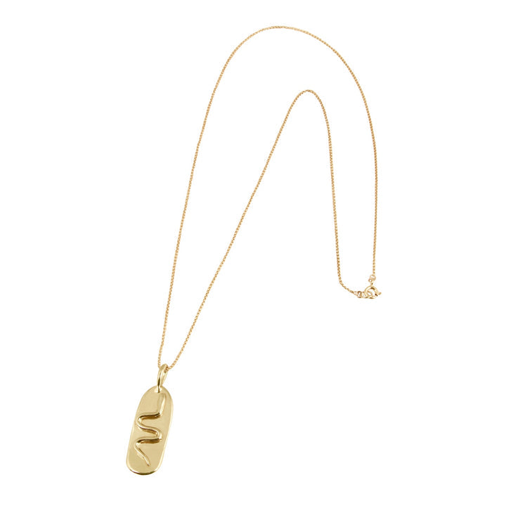 Hiss Snake Medalion Necklace