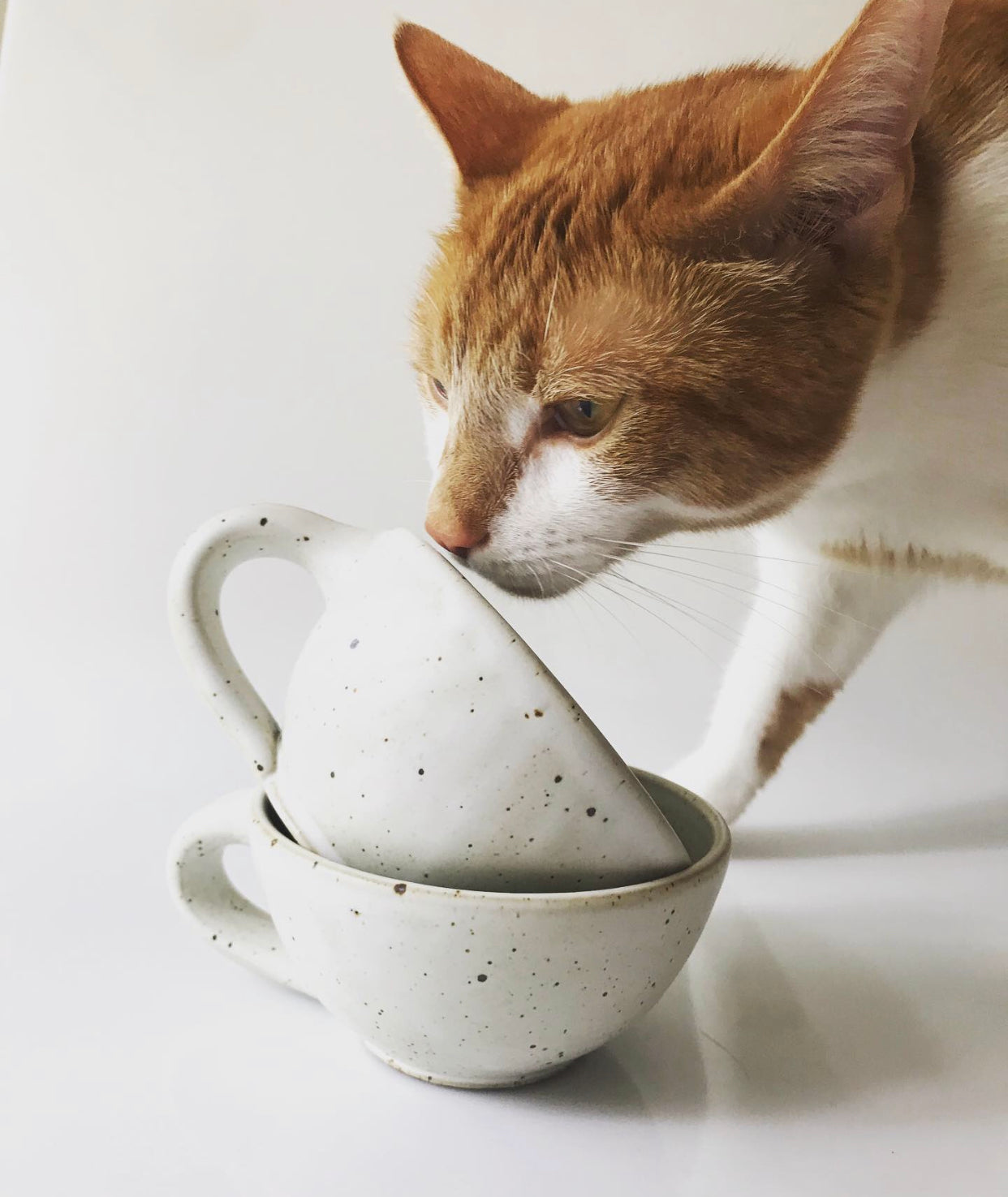 Lail Espresso Cups