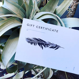 *IN STORE* Gift Certificate