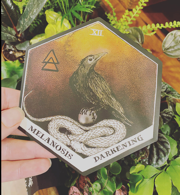 The Wild Unknown Alchemy Deck And Guidbook