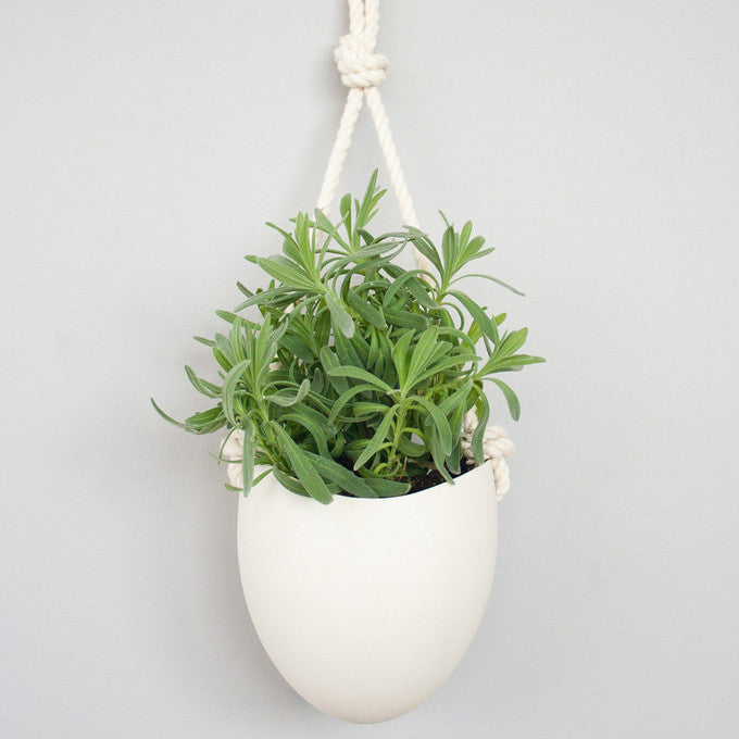 small hanging plant holder White Hanging Planter w/ Rope