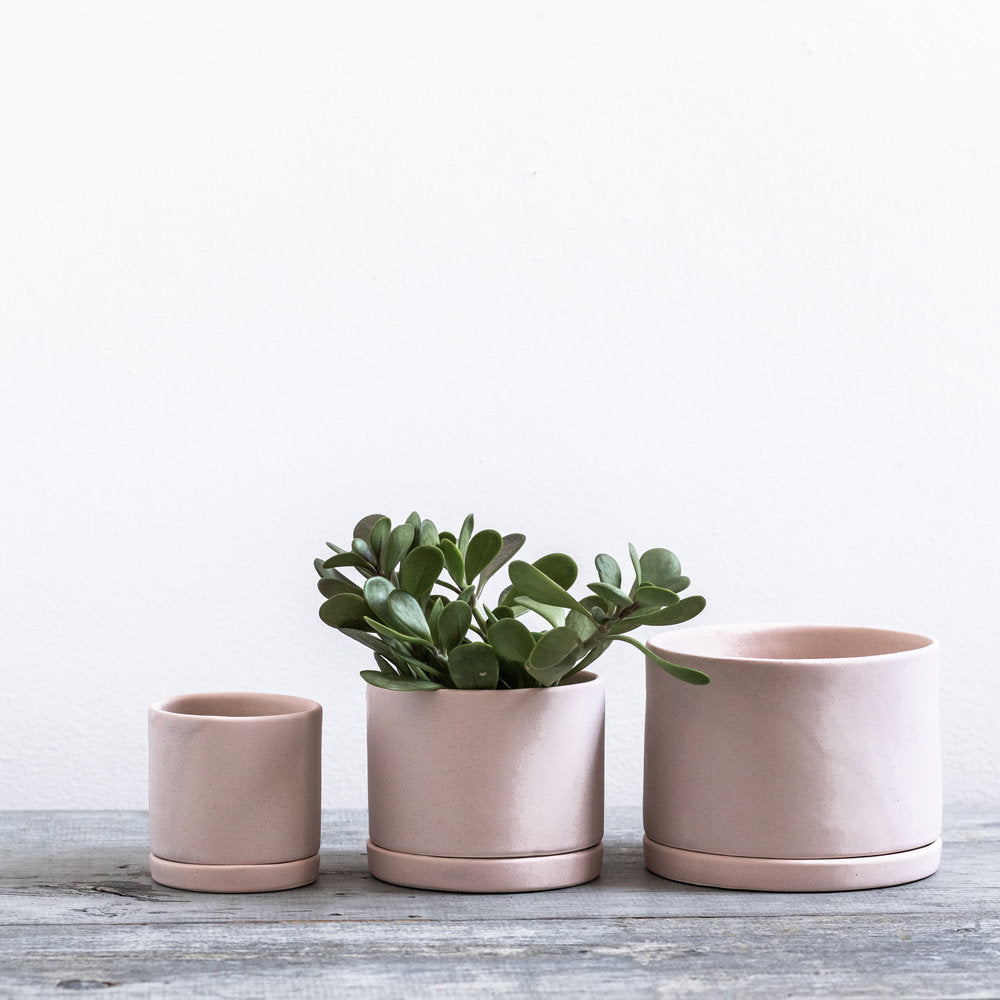 Freckled Pink Round Planter