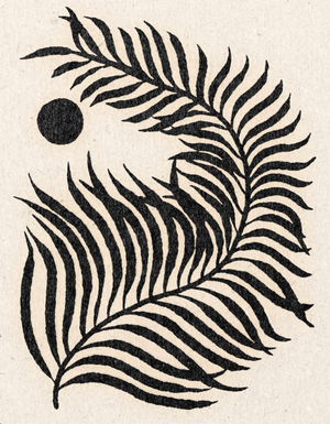'Curled Palm' Print