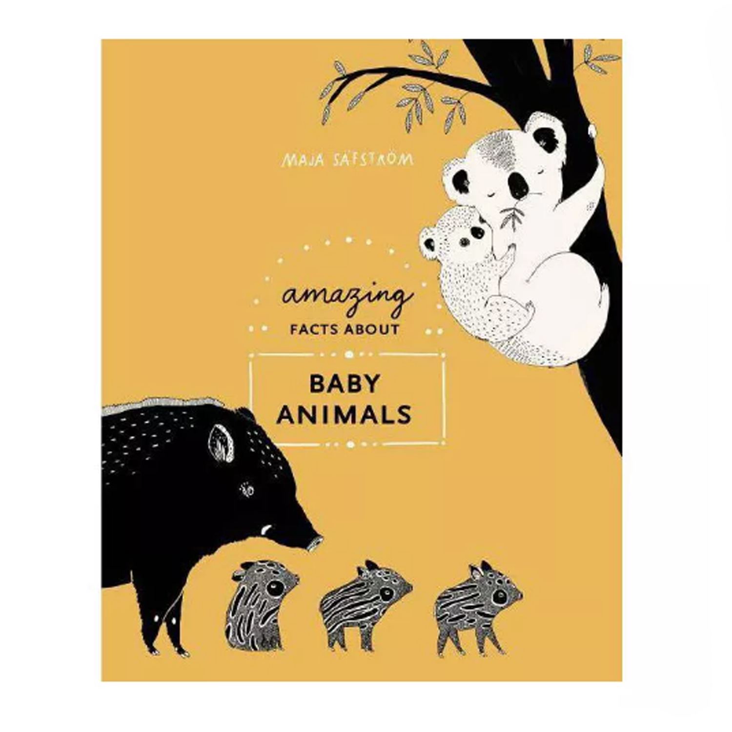 Amazing Facts About Baby Animals