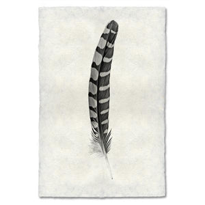 Partridge Feather Print #12 - KESTREL