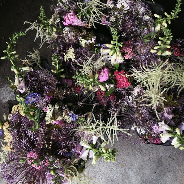 Kestrel x Mal du Pays Flower Share