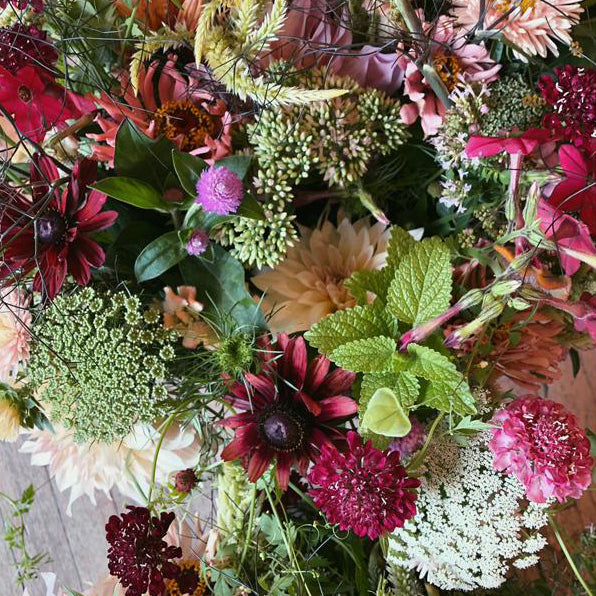 Kestrel x Mal du Pays Flower Share