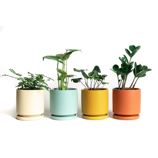 indoor plant pots with tray 4.5" Jewel Pot w/ Tray