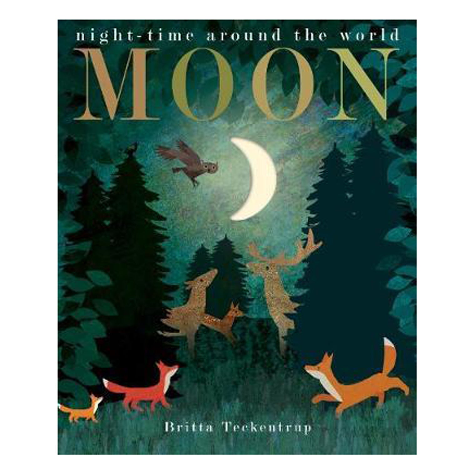 Moon: A Peek-Through Picture Book