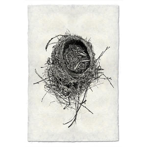 Nest Print #11 - KESTREL