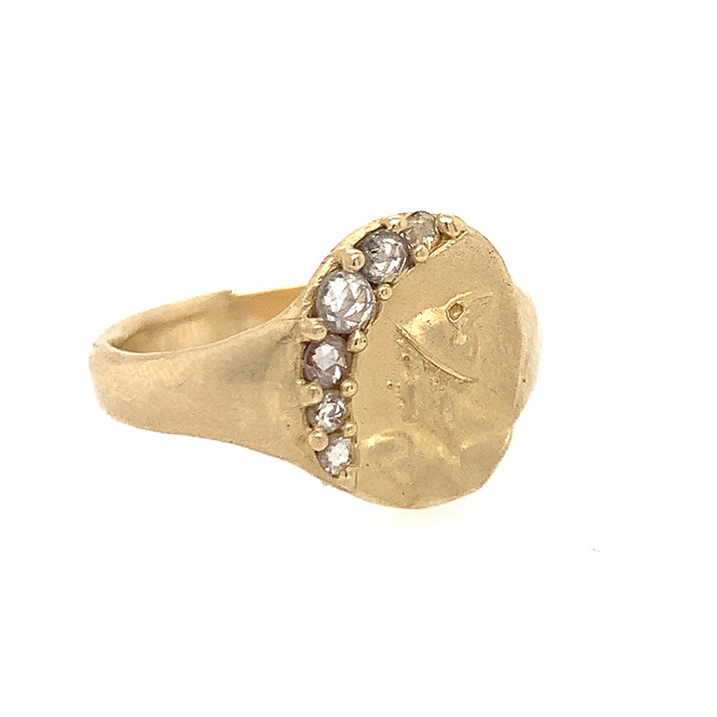 The Protector Signet Ring