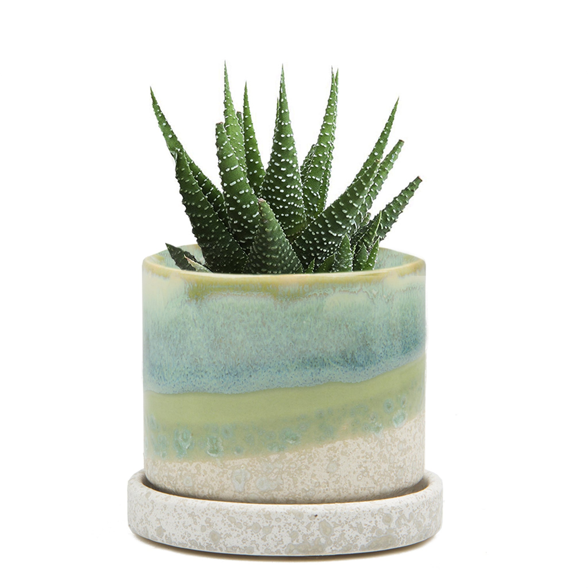 small cement plant pots Minute Pot