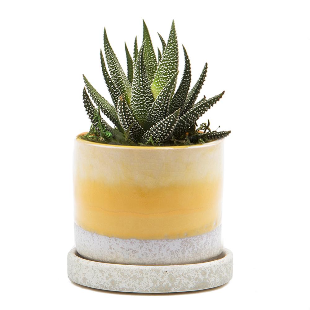 cute affordable plant pots Minute Pot